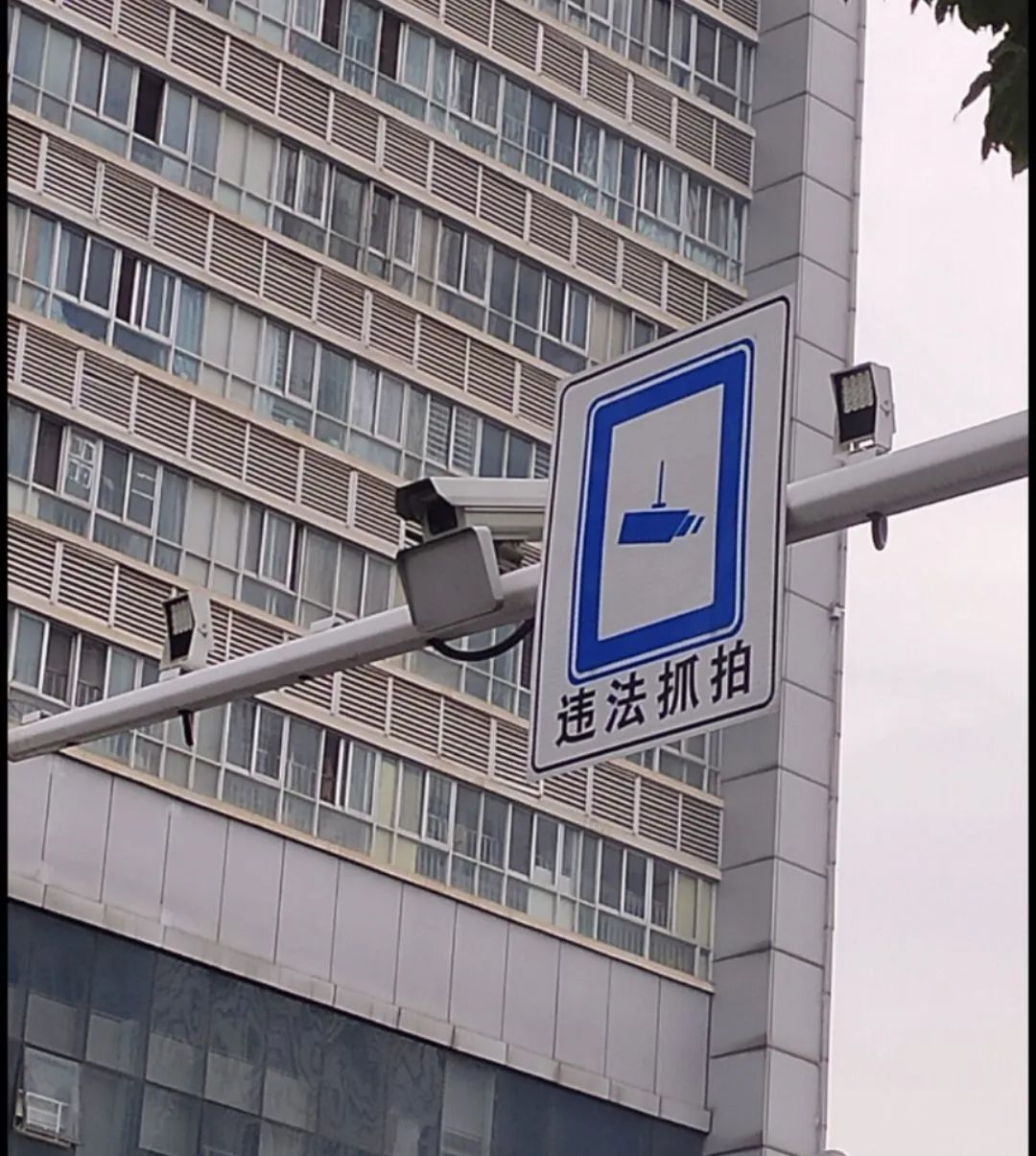 DƬ